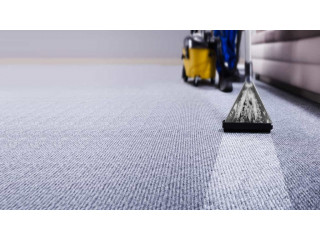 Quick & Reliable Carpet Cleaning Services in Houston | Call Anytime